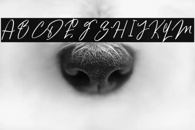 Elmatia Font examples