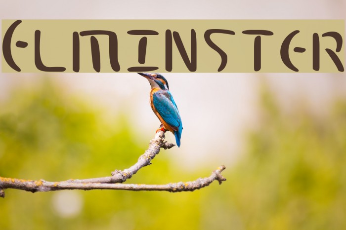Elminster Font examples