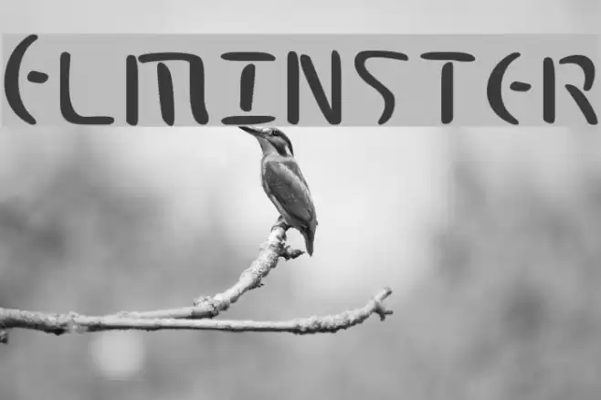 Elminster Font examples