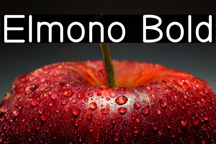 Elmono Bold Example 1