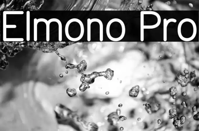 Elmono Pro Example 1