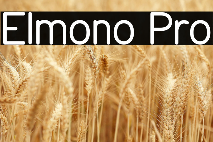 Elmono Pro Example 2