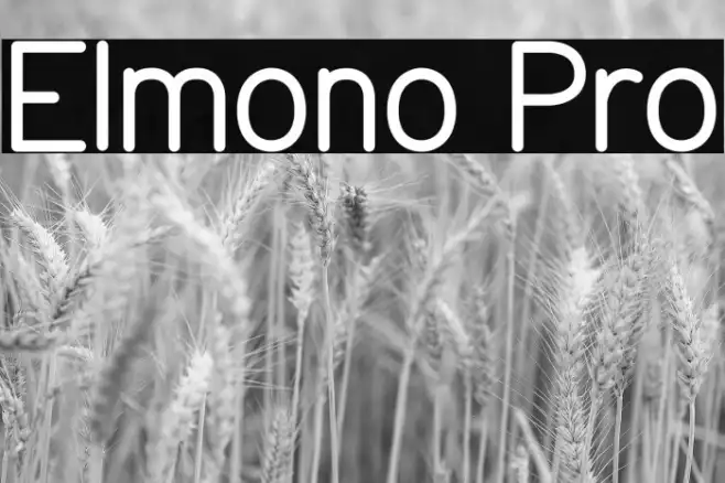 Elmono Pro Example 2