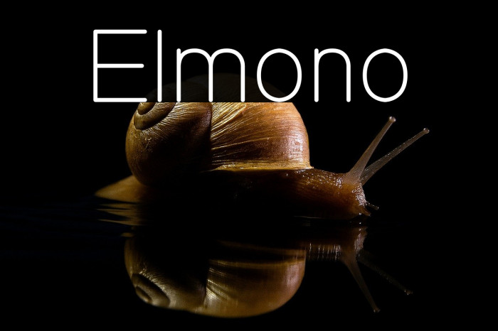 Elmono Example 2