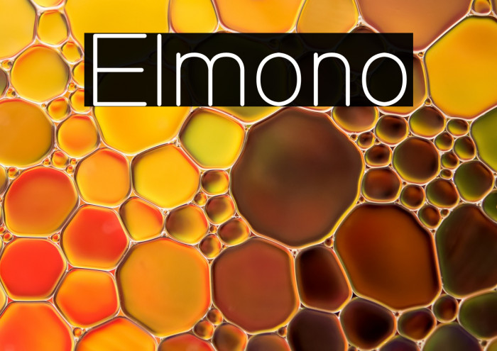Elmono Example 3