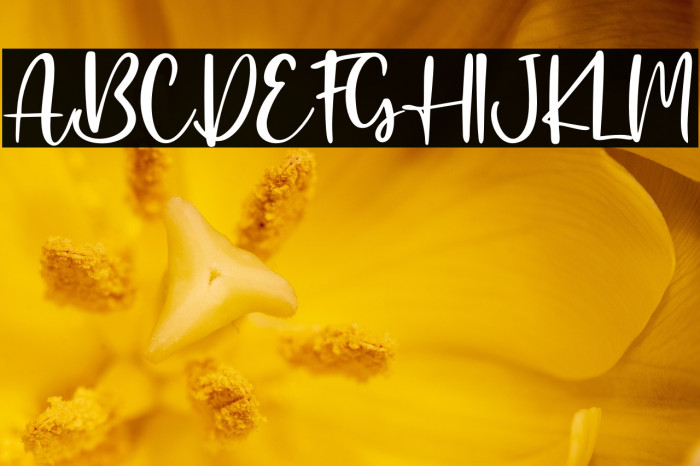 Elmore - Personal Use Example 1