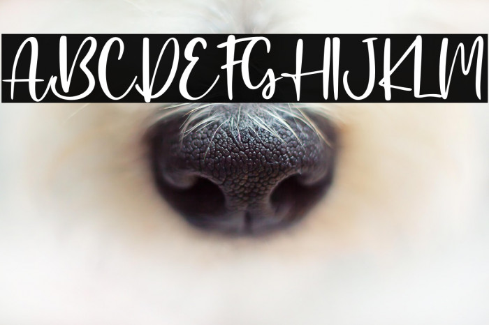 Elmore - Personal Use Example 3