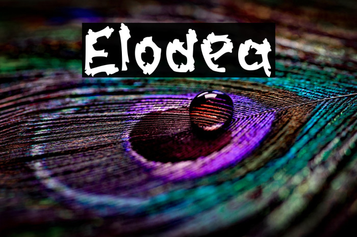 Elodea Example 1