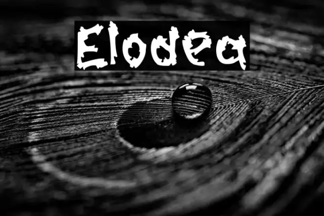 Elodea Example 1
