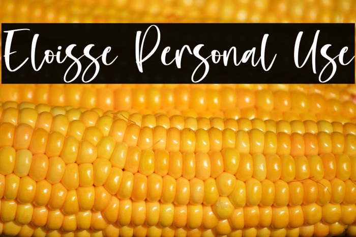 Eloisse Personal Use Example 3