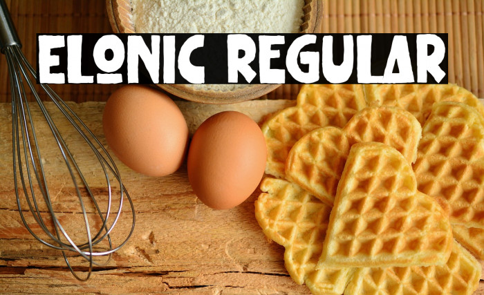 Elonic Regular Example 1