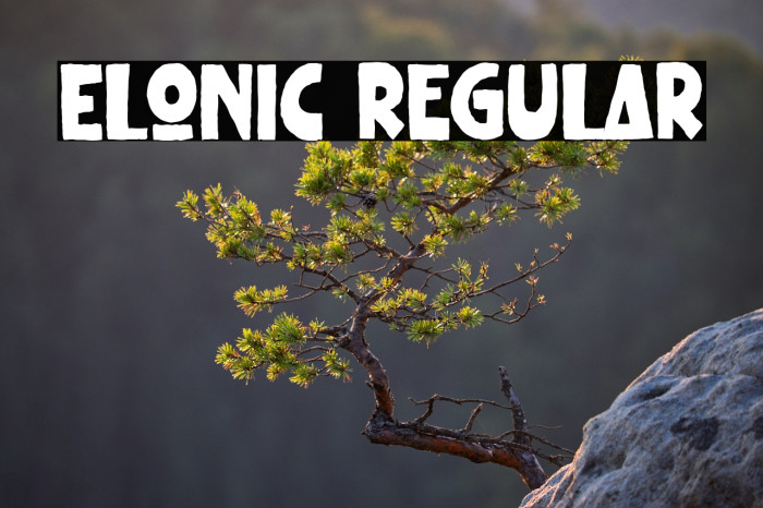 Elonic Regular Example 2