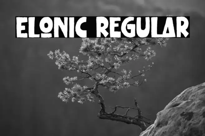 Elonic Regular Example 2