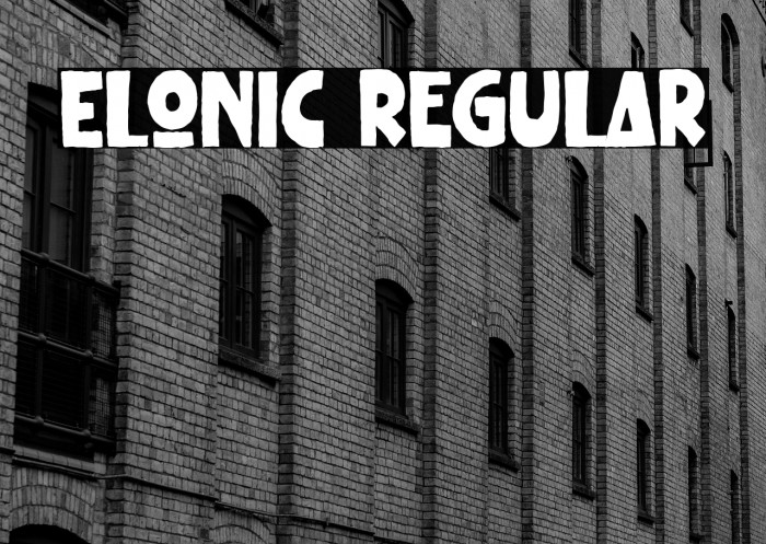 Elonic Regular Example 3