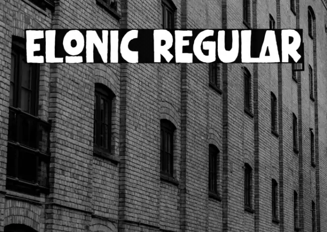 Elonic Regular Example 3