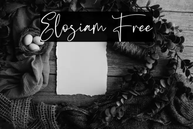 Elosiam Free Example 2
