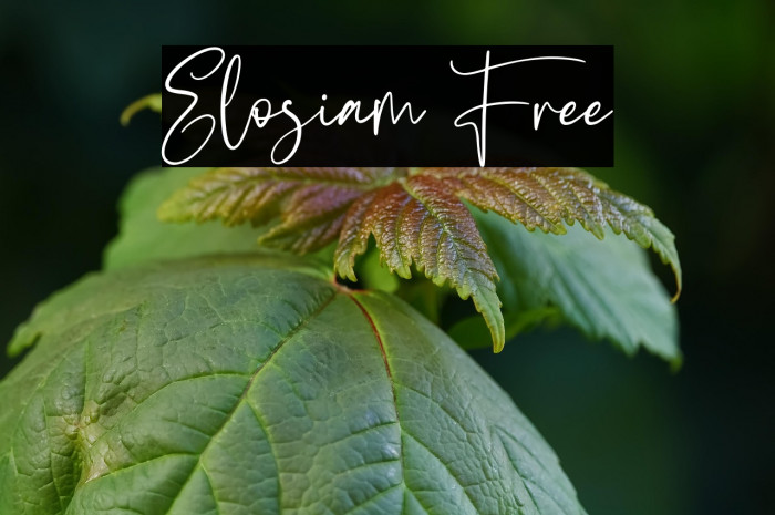 Elosiam Free Example 3