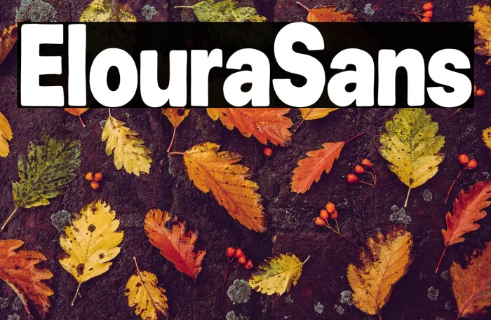 Eloura Sans Example 1