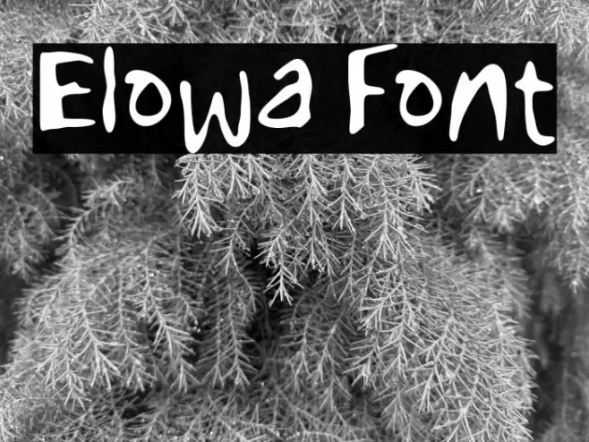 Elowa Font examples