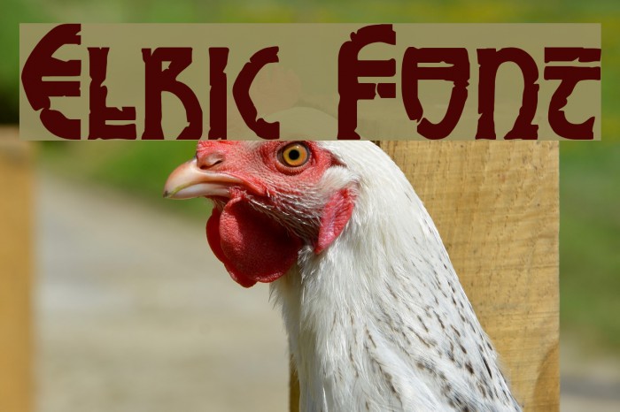 Elric Font examples