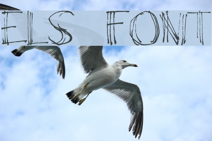 Elsö Font examples