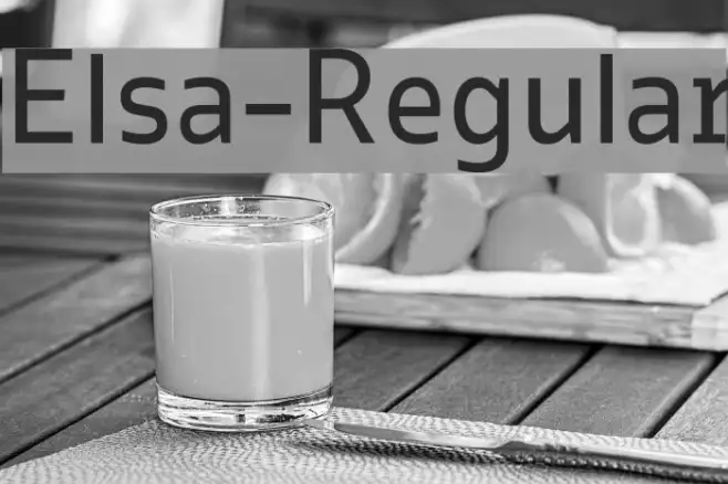 Elsa-Regular Example 2