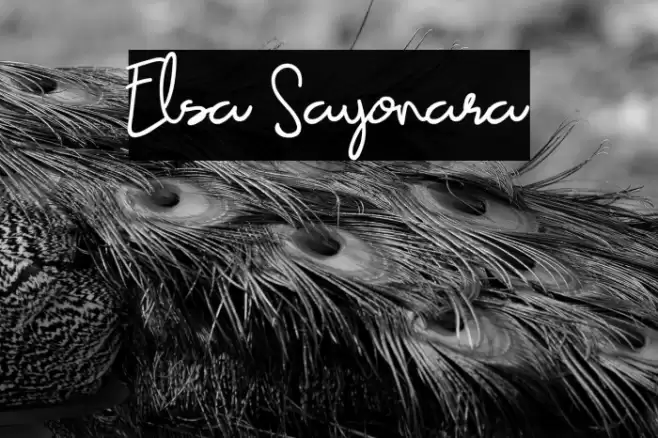Elsa Sayonara Font examples
