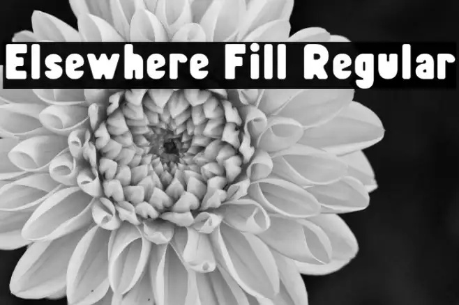 Elsewhere Fill Regular Example 2