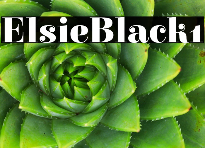 Elsie Black1 Example 1