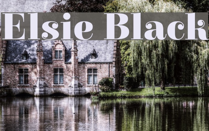 Elsie Black Font examples