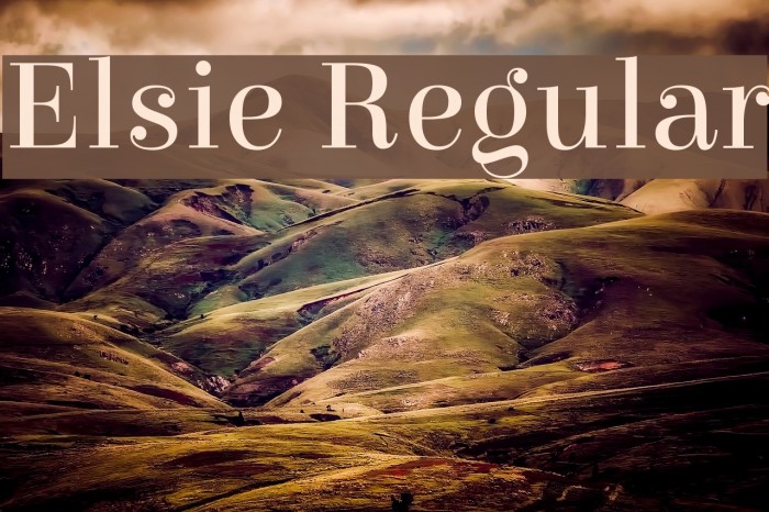Elsie Regular Font examples