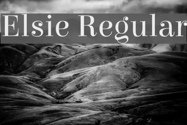 Elsie Regular Example 3