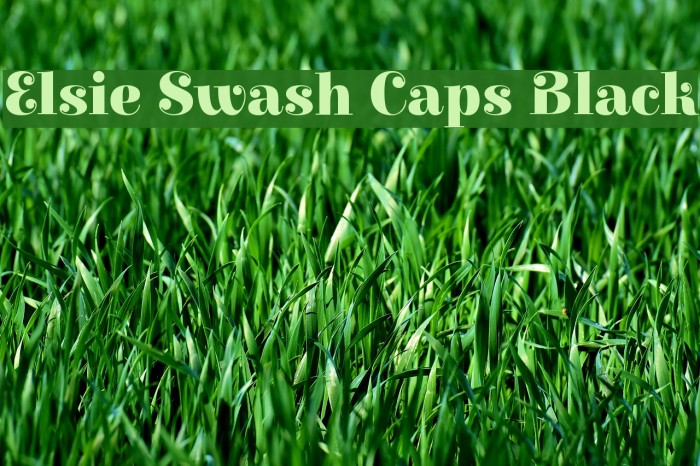 Elsie Swash Caps Black Font examples