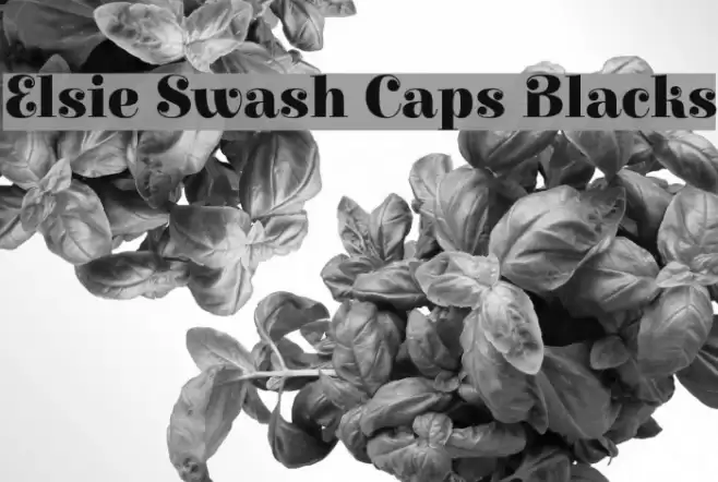 Elsie Swash Caps Blacks Font examples