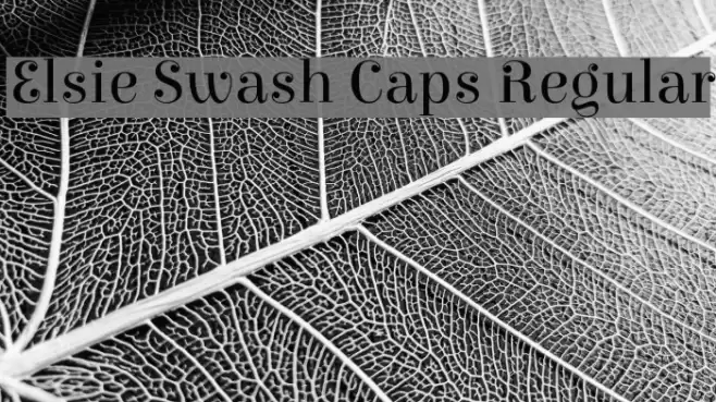 Elsie Swash Caps Regular फ़ॉन्ट examples