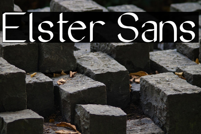 Elster Sans Example 1