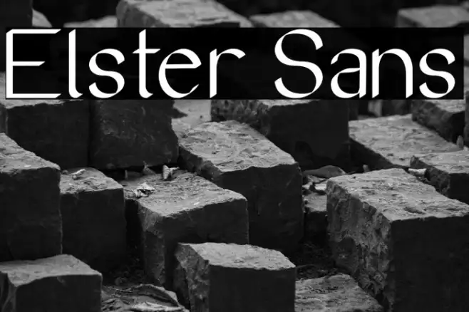 Elster Sans Example 1