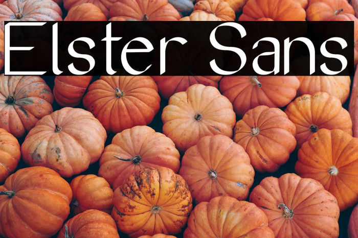 Elster Sans Example 2