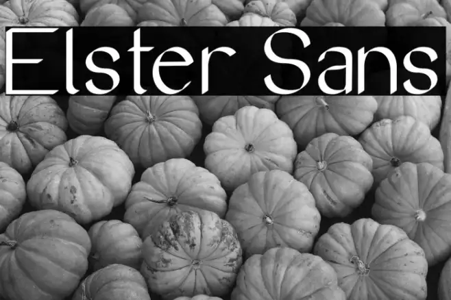 Elster Sans Example 2