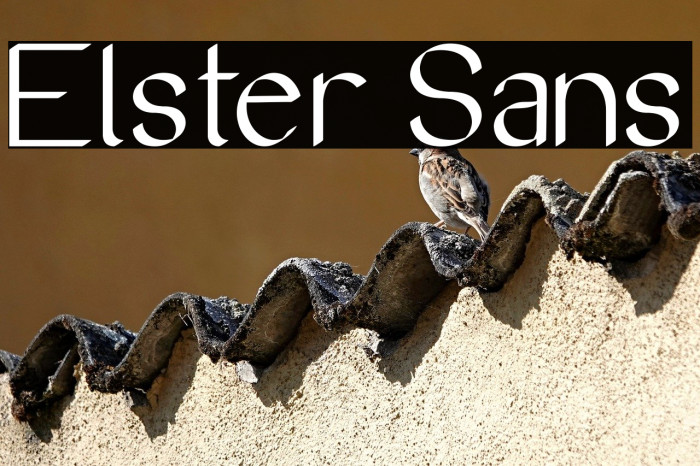 Elster Sans Example 3