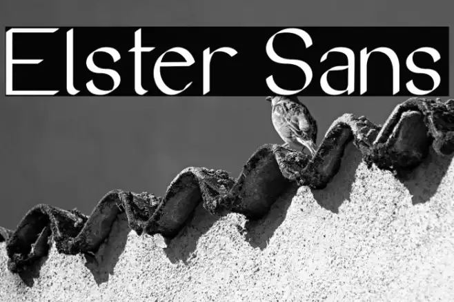 Elster Sans Example 3