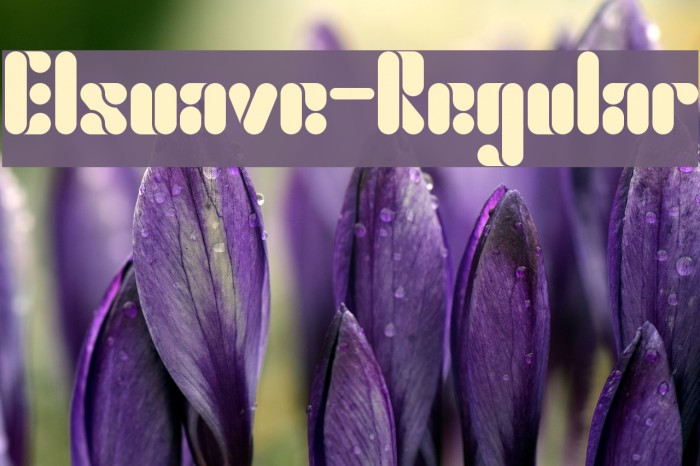 Elsuave-Regular Font examples