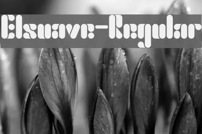 Elsuave-Regular Example 2