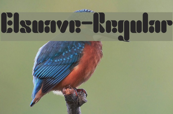 Elsuave-Regular Font examples