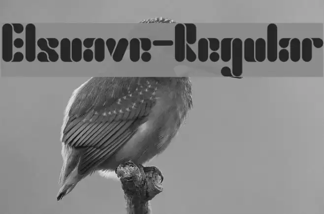 Elsuave-Regular Example 3