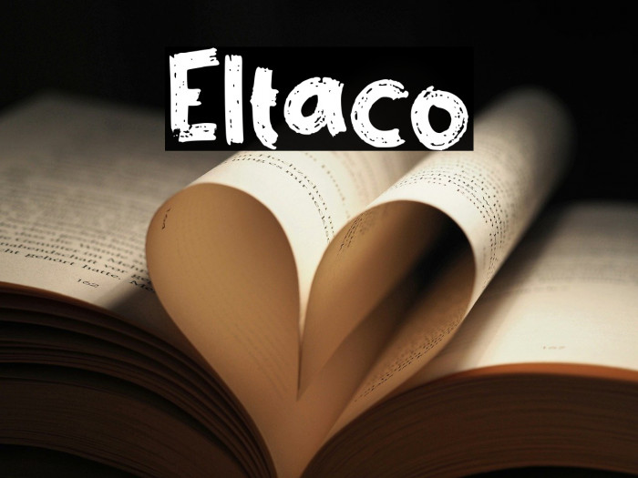 Eltaco Example 1