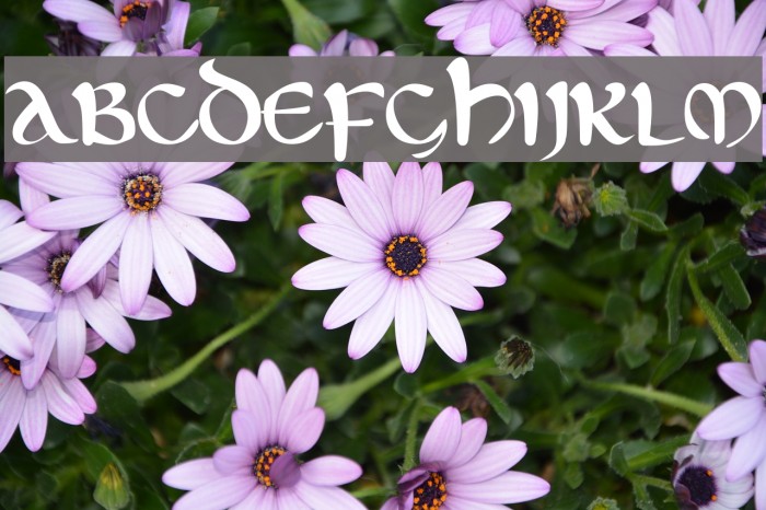 Eltic Font examples