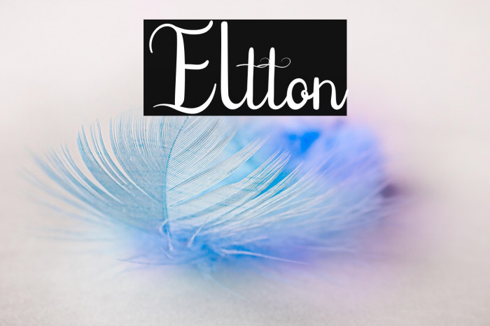 Eltton Example 1