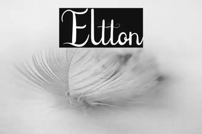 Eltton Font examples