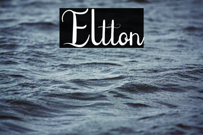 Eltton Example 2